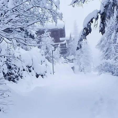 Horská chata Dakota, Pied Des Pistes, 15 Pers, *