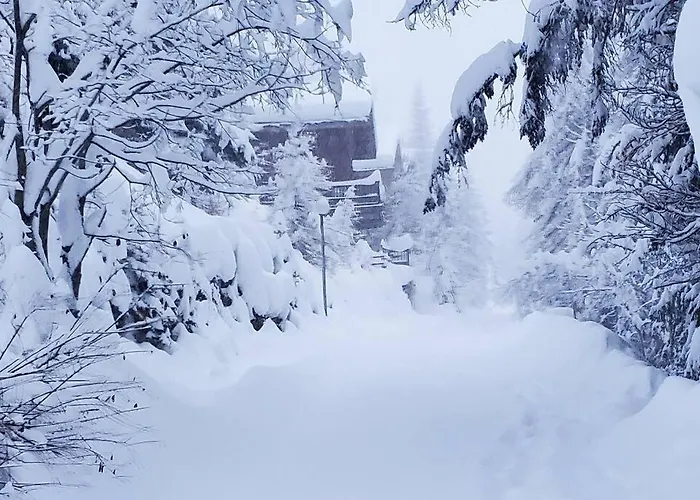 샬레 Dakota, Pied Des Pistes, 15 Pers, *