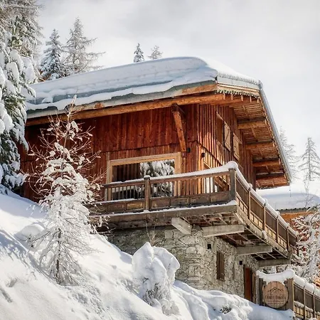 Dakota, Pied Des Pistes, 15 Pers, Chalet *